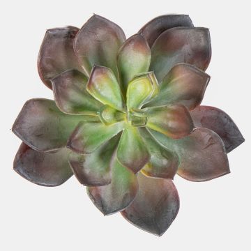 Dekorativ Echeveria morani CURSA på pinne, röd-grön, 15cm