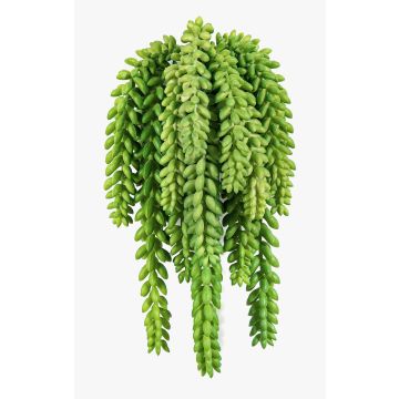 Konstgjord Sedum morganianum DIPHDA på pinne, svårantändlig, grön, 30cm Konstgjord Sedum morganianum DIPHDA på pinne, svårantändlig, grön, 30cm