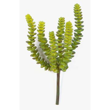 Konstgjord Crassula Perforata FULU på pinne, grön, 15cm Konstgjord Crassula Perforata FULU på pinne, grön, 15cm
