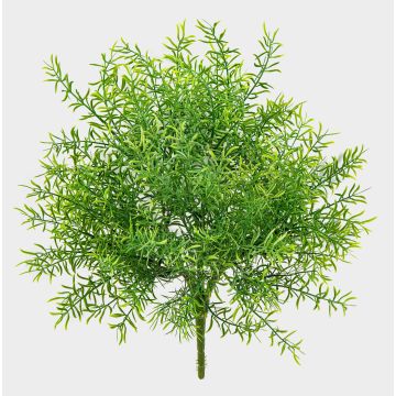 Konstgjord Asparagus sprengeri ERRAI på stickpinne, crossdoor, 40cm