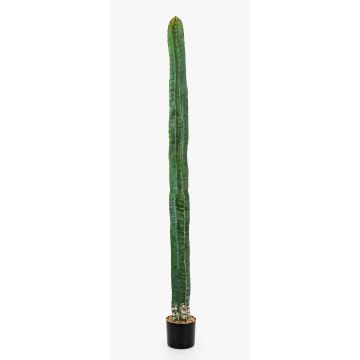 Dekorativ pelarkaktus ELKURUD, grön-röd, 180cm Dekorativ pelarkaktus ELKURUD, grön-röd, 180cm