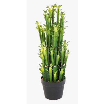 Konstgjord Euphorbia trigona KAROLIINA, grön, 65cm Konstgjord Euphorbia trigona KAROLIINA, grön, 65cm