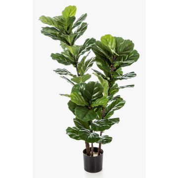Konstgjord Ficus Lyrata GUDJA, konstgjorda stammar, grön, 130cm