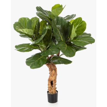 Dekorativ Ficus Lyrata HADAR, naturstam, grön, 110cm Dekorativ Ficus Lyrata HADAR, naturstam, grön, 110cm