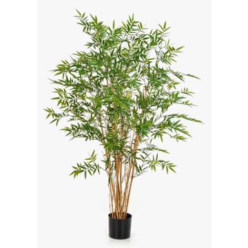 Dekorativ bambu HATYSA, naturstammar, 150cm
