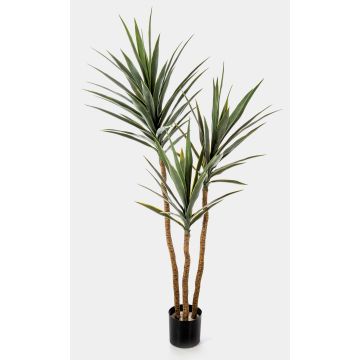 Konstgjord Yucca gloriosa variegata HELVETIOS, grågrön, 160cm