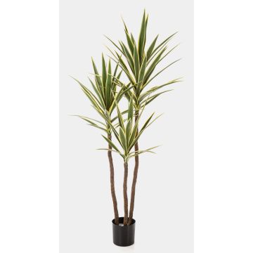 Konstgjord Yucca gloriosa variegata HELVETIOS, grön-gul, 160cm