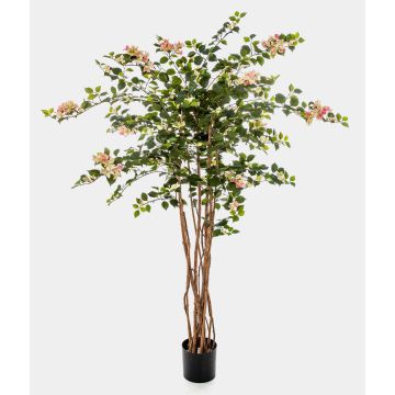 Dekorativ bougainvillea OGMA, naturstammar, blommor, gul-rosa, 150cm Dekorativ bougainvillea OGMA, naturstammar, blommor, gul-rosa, 150cm