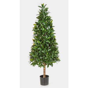 Dekorativ lagerpyramid MATAR, naturstam, crossdoor, 140cm