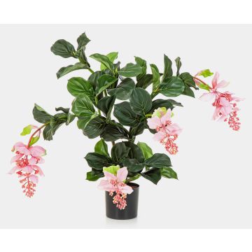 Konstgjord Medinilla ALDORA, rosa, 75cm Konstgjord Medinilla ALDORA, rosa, 75cm