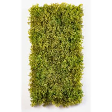 Dekorativ isländsk mossmatta MUSCIDA, grönbrun, svårantändlig, 25x50cm