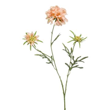 Dekorativ kvist av scabiosa MARUA, persika, 80cm Dekorativ kvist av scabiosa MARUA, persika, 80cm