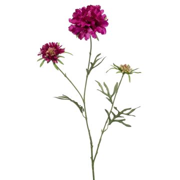 Dekorativ kvist av scabiosa MARUA, violett, 80cm Dekorativ kvist av scabiosa MARUA, violett, 80cm
