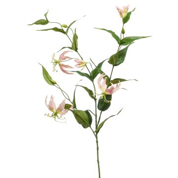 Stor konstblomma Gloriosa WARIS rosa-krämfärgad, 120cm Stor konstblomma Gloriosa WARIS rosa-krämfärgad, 120cm