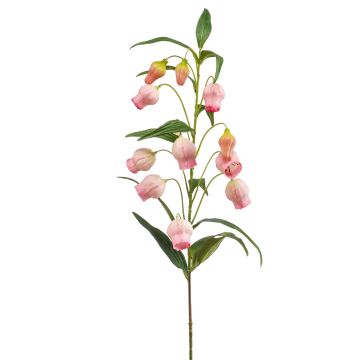Stor konstblomma, lanternlilja NIZAR, rosa-krämfärgad, 100cm, Ø2,5-3,5cm Stor konstblomma, lanternlilja NIZAR, rosa-krämfärgad, 100cm, Ø2,5-3,5cm