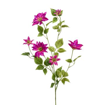 Stor konstblomma, klematis HIKARI, cerise, 110cm, Ø5-14cm Stor konstblomma, klematis HIKARI, cerise, 110cm, Ø5-14cm