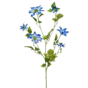 Stor konstblomma, klematis HIKARI, blå, 110cm, Ø5-14cm Stor konstblomma, klematis HIKARI, blå, 110cm, Ø5-14cm