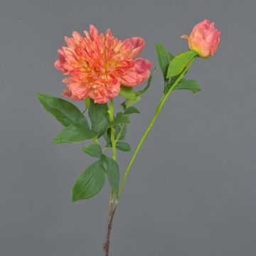 Konstblomma, pion BADIS, korall, 75cm, Ø13cm Konstblomma, pion BADIS, korall, 75cm, Ø13cm