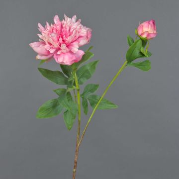 Konstblomma, pion BADIS, rosa, 75cm, Ø13cm Konstblomma, pion BADIS, rosa, 75cm, Ø13cm