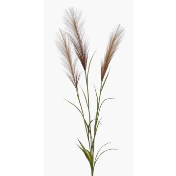 Dekorativ gren med pampasgräs ADNANE med ax, brun, 90cm Dekorativ gren med pampasgräs ADNANE med ax, brun, 90cm