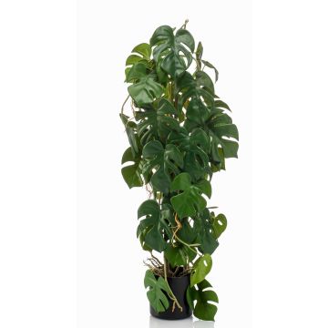 Dekorationsväxt Philodendron Monstera Deliciosa RONGPU, 75cm