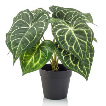 Konstgjord anthurium TESHI, grön-krämfärgad, 25cm Konstgjord anthurium TESHI, grön-krämfärgad, 25cm