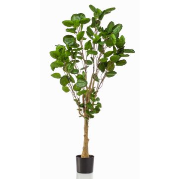 Konstväxt Fiederaralie FAUZIA, konststam, 150cm Konstväxt Fiederaralie FAUZIA, konststam, 150cm