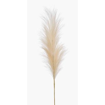 Konstgjord pampasgräsris AMATSIA, krämfärgad, 115cm Konstgjord pampasgräsris AMATSIA, krämfärgad, 115cm