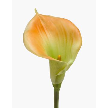 Konstgjord calla DAISCHI, gulgrön, 70cm, 11x14cm