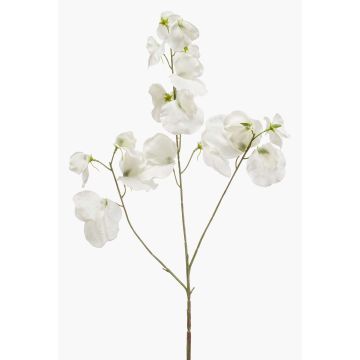 Konstgjord blomma, doftväxter KANZI, vit, 75cm, Ø4-7cm Konstgjord blomma, doftväxter KANZI, vit, 75cm, Ø4-7cm