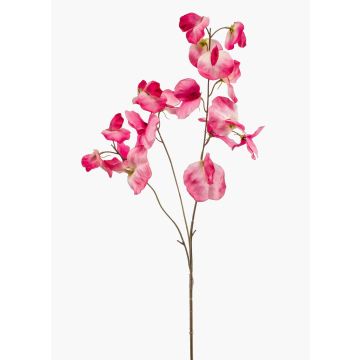 Konstgjord blomma, doftväxter KANZI, cerise-krämfärgad, 75cm, Ø4-7cm Konstgjord blomma, doftväxter KANZI, cerise-krämfärgad, 75cm, Ø4-7cm