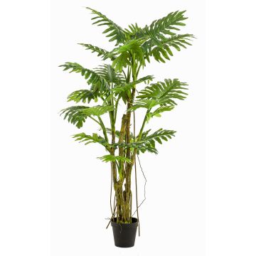 Konstväxt Philodendron Selloum EDHEM, 195cm Konstväxt Philodendron Selloum EDHEM, 195cm