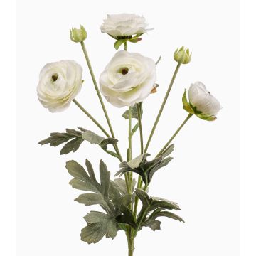 Konstgjord ranunkel HIBBA, krämfärgad, 65cm, Ø5-7cm Konstgjord ranunkel HIBBA, krämfärgad, 65cm, Ø5-7cm
