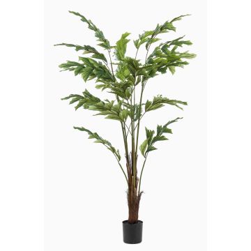 Konstgjord fiskstjärtpalm AIDING, 135cm Konstgjord fiskstjärtpalm AIDING, 135cm