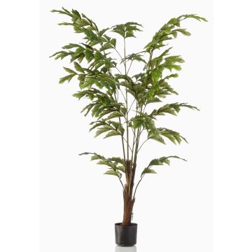 Konstgjord fiskstjärtpalm AIDING, 155cm Konstgjord fiskstjärtpalm AIDING, 155cm