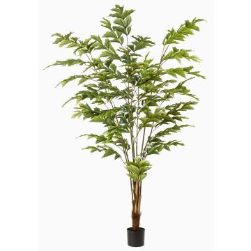 Konstgjord fiskstjärtpalm AIDING, 195cm Konstgjord fiskstjärtpalm AIDING, 195cm