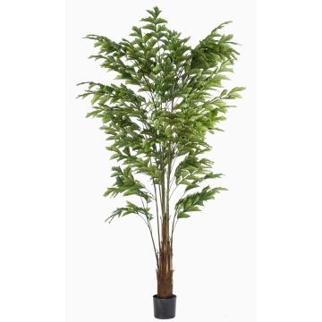 Konstgjord fiskstjärtpalm AIDING, 225cm Konstgjord fiskstjärtpalm AIDING, 225cm