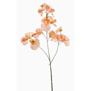 Konstgjord blomma, doftväxter KANZI, persika, 75cm, Ø4-7cm Konstgjord blomma, doftväxter KANZI, persika, 75cm, Ø4-7cm