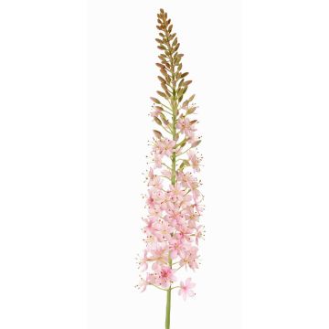 Stor konstgjord blomma, steppljus SELINA, ljusrosa, 105cm, Ø9cm Stor konstgjord blomma, steppljus SELINA, ljusrosa, 105cm, Ø9cm