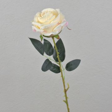 Konstgjord ros ELEAZAR, krämfärgad, 65cm, Ø9cm Konstgjord ros ELEAZAR, krämfärgad, 65cm, Ø9cm