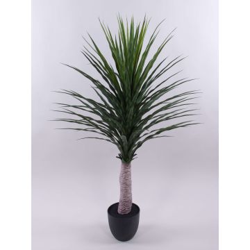 Yucca rostrata DENDES i dekorativ kruka, 120cm