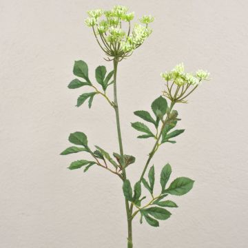 Konstgjord rölleka PHARRELL, krämvit, 75cm, Ø6-12cm Konstgjord rölleka PHARRELL, krämvit, 75cm, Ø6-12cm