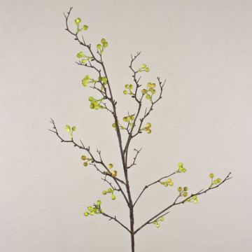 Konstgjord bärkvist LEERDIK med frukter, grön, 115cm Konstgjord bärkvist LEERDIK med frukter, grön, 115cm