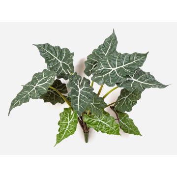 Konstgjord Alocasia Sanderiana ORLANDA, grön-vit, 60cm Konstgjord Alocasia Sanderiana ORLANDA, grön-vit, 60cm