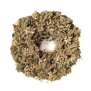Torkad blomkrans MACARENA på halmkrans, jättefänkål, beige-natur, Ø25cm Torkad blomkrans MACARENA på halmkrans, jättefänkål, beige-natur, Ø25cm