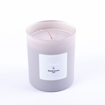 Doftljus MIREYA i glas, Fireside, grå, 9,3cm, Ø7,9cm, 35 timmar Doftljus MIREYA i glas, Fireside, grå, 9,3cm, Ø7,9cm, 35 timmar