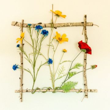 Den inramade blomsterängen