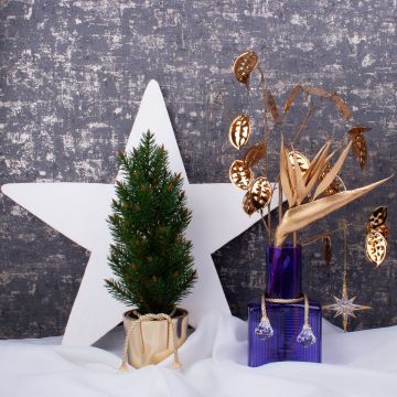 Kunglig jul Kunglig jul
