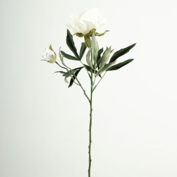 Konstgjord blomkvist med pion GALENE, Eco Collection, vit-lila, 65cm, Ø10cm