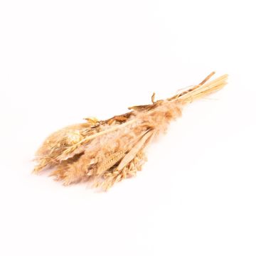 Torkad bukett DILIANE, vit-natur, 50cm, Ø15cm